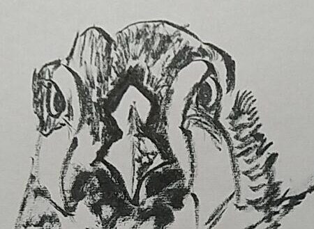 タイトル画面の鳥人間画像