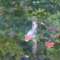 モネの池の写真(鯉を中心にしたもの)