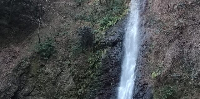 養老の滝の写真