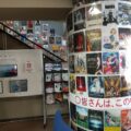 コレクション展の写真