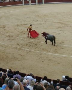 牛を誘導する闘牛士の写真