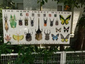 名和昆虫博物館の看板写真
