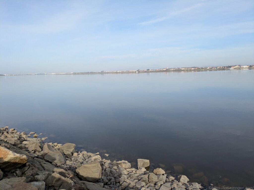 波止場から見た海