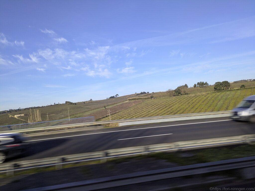 オビドス近郊の写真